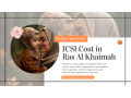 icsi-cost-in-ras-al-khaimah-small-0