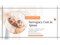 surrogacy-cost-in-ajman-small-0