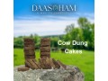 cow-dung-sale-online-small-0
