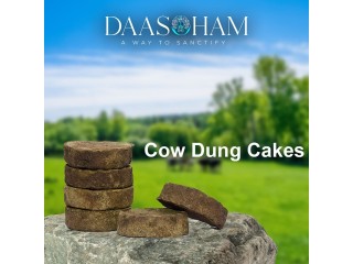 Holy Cow Dung Cake In India