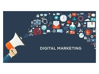 What Services Should You Expect from a Digital Marketing Company in India?