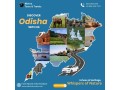 get-an-easier-and-superfast-booking-system-to-plan-your-tailor-made-trip-from-odisha-travels-small-0