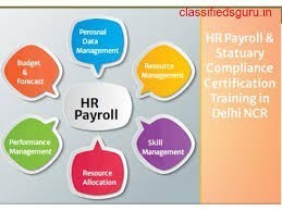 hr-training-institute-in-delhi-11008-with-free-sap-hcm-hr-certification-by-sla-consultants-institute-in-delhi-ncr-hr-analytics-certification-big-0