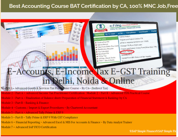 accounting-course-in-delhi-110011-with-free-sap-finance-fico-by-sla-consultants-institute-in-delhi-ncr-finance-analytics-certification-big-0