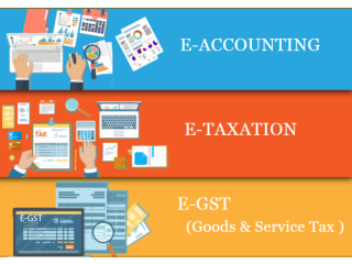 Accounting Course in Delhi, 110010, [GST Update 2024] by SLA. GST and Accounting Institute, Taxation and Tally Prime Institute in Delhi, Noida,