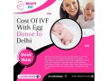 cost-of-ivf-with-egg-donor-in-delhi-small-0