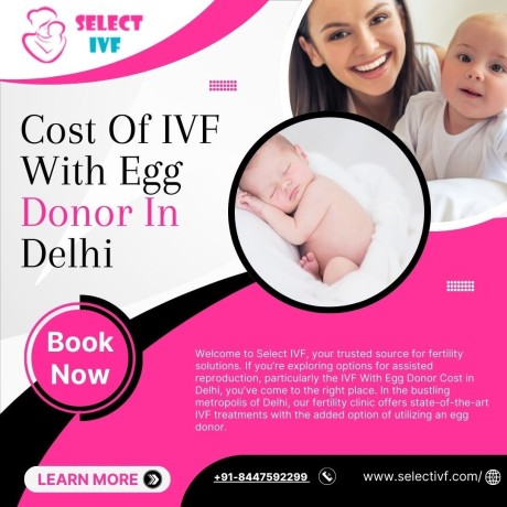 cost-of-ivf-with-egg-donor-in-delhi-big-0