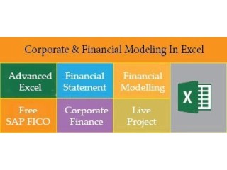 Financial Modeling Training Course in Delhi,110027. Best Online Live Financial Analyst Training in Vadodara by IIT Faculty , [ 100% Job in MNC]