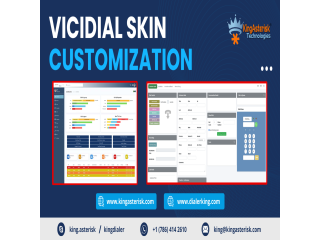 Transform Your Call Center Aesthetics with ViciDial Skin Customization service