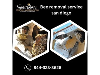 Bee removal service san diego