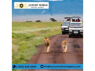 Best Luxury African Safari Tours Await! Call +1 (202)-618-3400 Today!