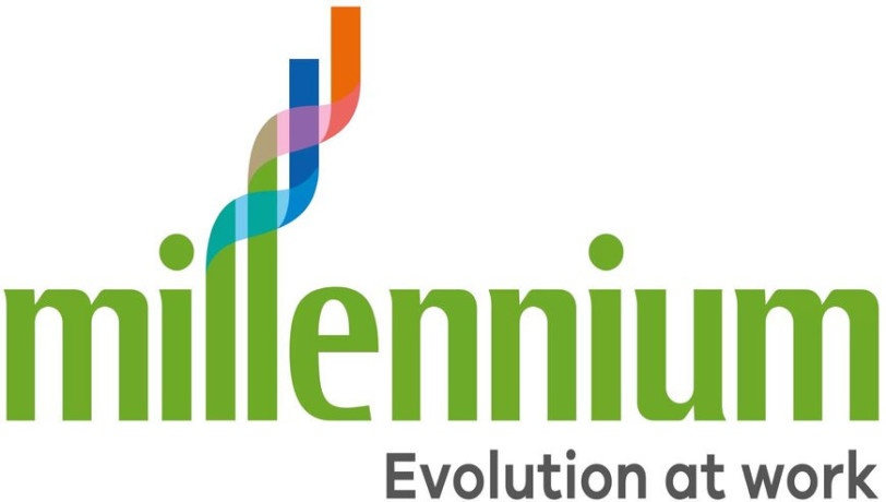 high-quality-brake-fluid-in-dubai-uae-big-0