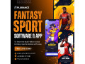 launch-a-winning-fantasy-sports-app-with-plurances-custom-solutions-small-0