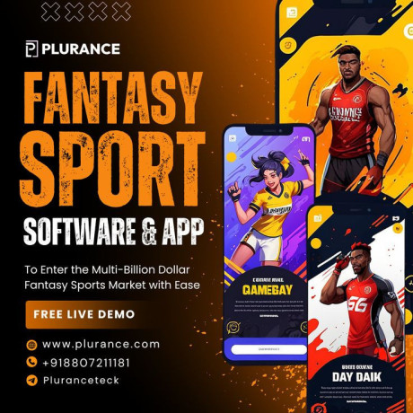 launch-a-winning-fantasy-sports-app-with-plurances-custom-solutions-big-0
