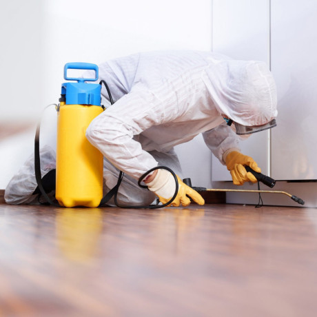 top-rated-end-of-lease-cleaning-in-melbourne-cbd-sparkling-clean-bond-secured-big-1