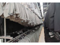 garment-sorting-conveyor-small-0