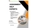 best-assignment-help-experts-professional-academic-mba-assignment-assistance-small-0