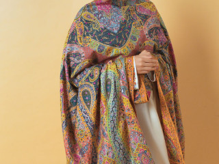 Exquisite Pashmina Kalamkari Shawl  A Timeless Masterpiece