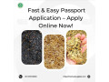 fast-easy-passport-application-apply-online-now-small-0