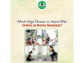 which-yoga-classes-in-jaipur-offer-online-or-home-sessions-small-0