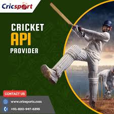 real-time-cricket-data-feed-api-for-developers-apps-big-0