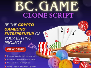 Launch Your Dream Crypto Casino in Days with Plurance's BC.Game Clone script