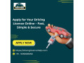 apply-for-your-driving-licence-online-fast-simple-secure-small-0