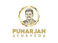 punarjan-ayurveda-store-100-ayurvedic-products-small-0