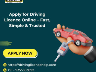 Apply for Driving Licence Online  Fast, Simple & Trusted