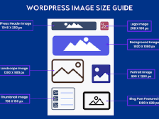 Boost Your Online Presence with Professional Search Engine Optimization Services