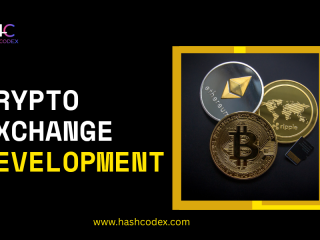 Launch Your Crypto Exchange Project Confidently with Hashcodex