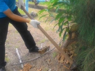 Eco-Friendly Termite Control  Safe for Kids & Pets