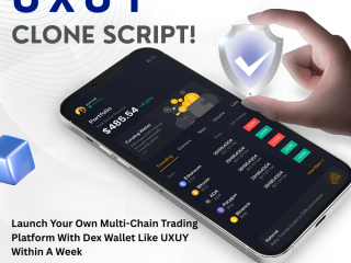 When Is the Right Time to Launch Your UXUY Clone App?