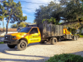 safe-reliable-pinellas-county-tree-removal-small-0