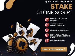 Efficient and Cost-Effective Stake Clone Script for Aspiring Casino Owners