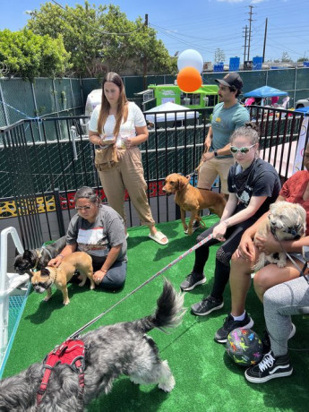 top-dog-day-camp-near-me-south-park-adventureland-big-0